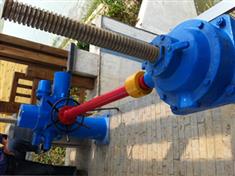 雙吊電裝啟閉機-電裝啟閉機-電裝式啟閉機